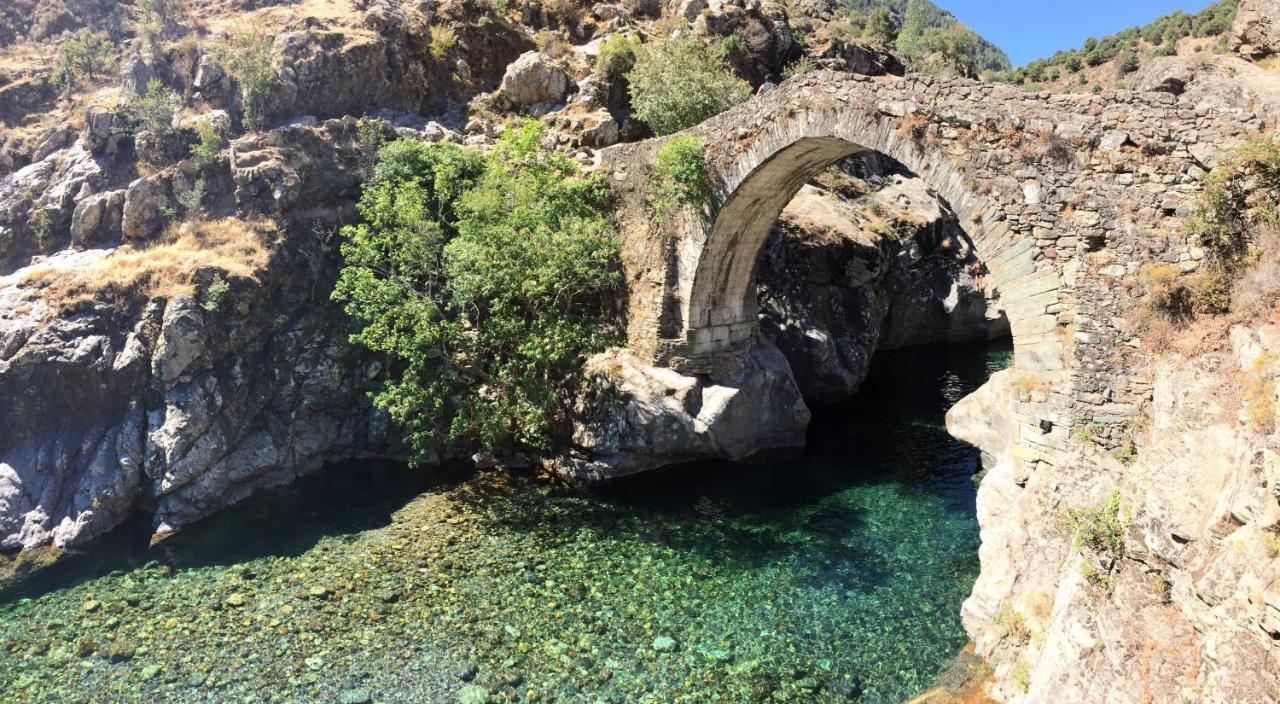 Villa Grand Confort A 500M De La Plage De Lozari Palasca  Exterior foto